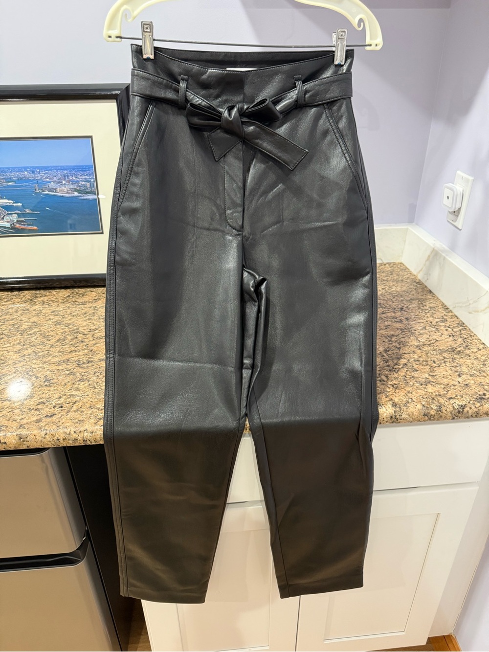 Aritzia Babaton  High-Waist Black Faux leather ankle pants with waist tie.